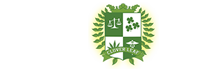 Clover Leaf University